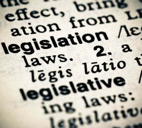 Legislation entry on the page
                  of a dictionary