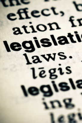 Legislation entry on the page
                  of a dictionary