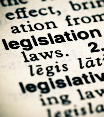 Legislation definition in an English
                  dictionary