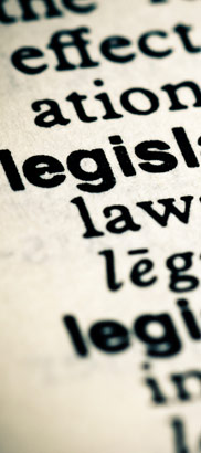 Legislative definition in an English
                  dictionary