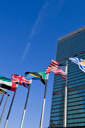 United Nations building in New York
                  with national flags reaching into a clear blue sky