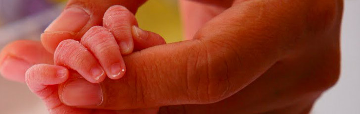 Mother holding a baby's
                  hand