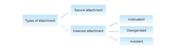 diagram showing how attachment
                  is categorised