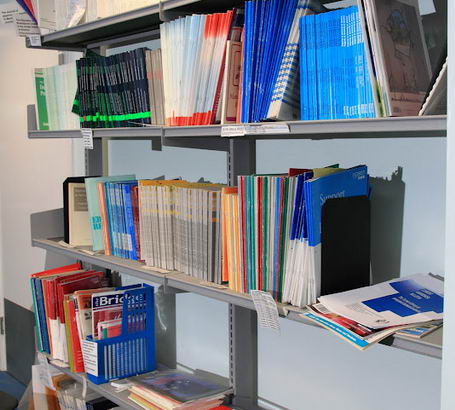 A collection of research projects on library
                  shelving